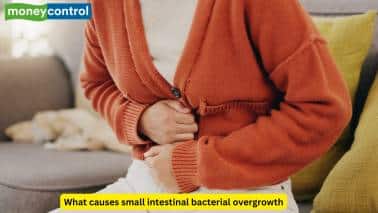 Small Intestinal Bacterial Overgrowth Small intestinal bacterial overgrowth is a result of excessive bacteria fermenting nutrients in the small intestine. Symptoms like bloating and diarrhea are common. The treatment involves antibiotics and probiotics, and correcting the underlying causes that lead to this condition. 