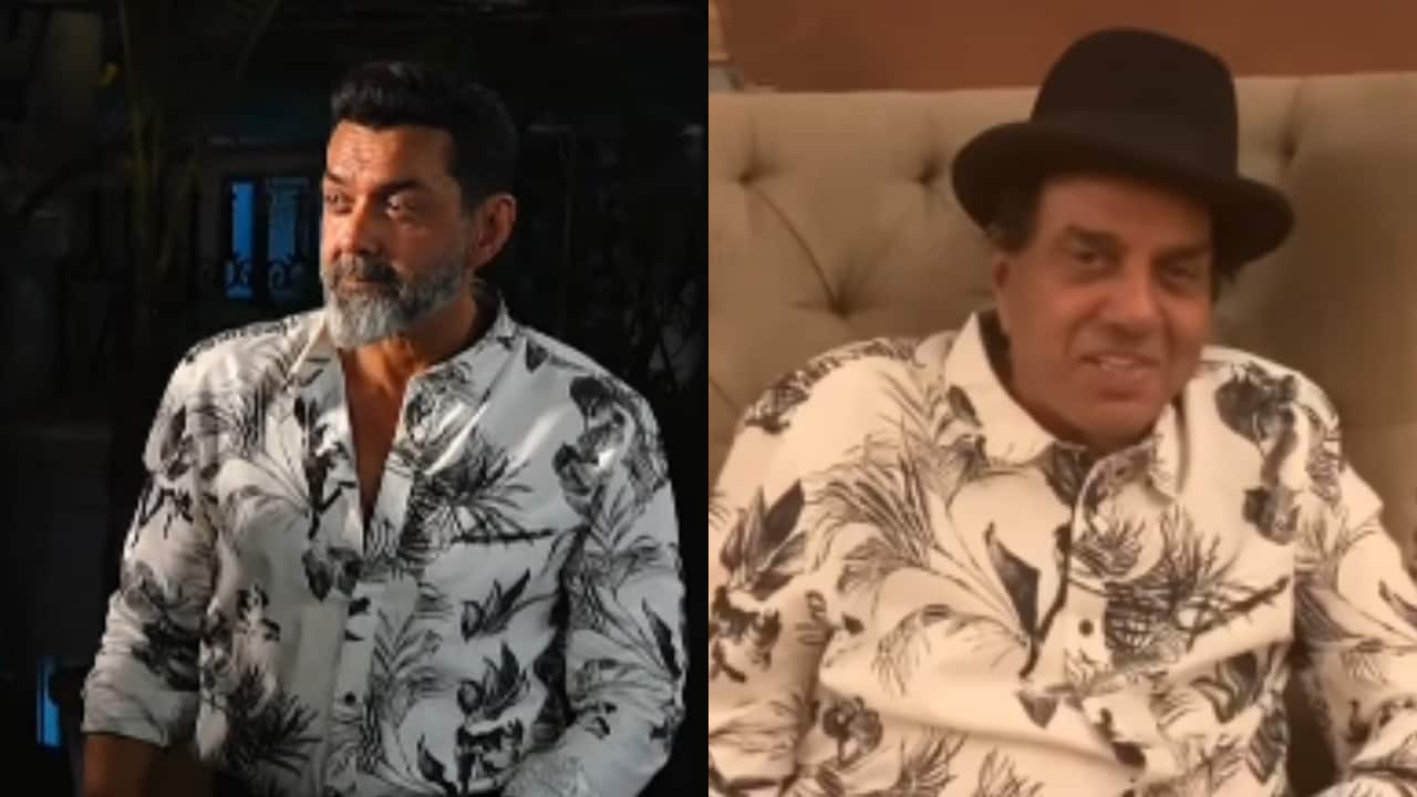 Dhurandhar Leads 2025 Indian Box Office, Followed by Kantara & Chhaava