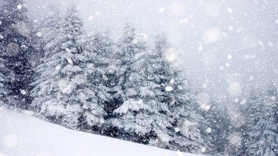 Electricity From Snow? Japan’s Chilling Experiment Sparks Global Curiosity About Frozen Power (Image: Canva)
