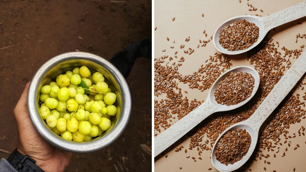 Top 5 seeds every woman should eat to ease PMS symptoms, according to a Fortis gastroenterologist