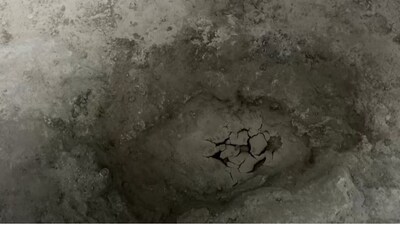 One of the World’s Longest Dinosaur Trackways Unearthed in Oxfordshire Quarry  (Image: Reuters)