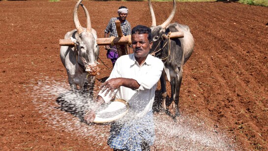 Centre launches digital system to process Rs 2 lakh crore fertilizer subsidy