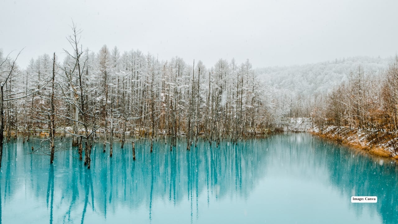5. Biei If you’ve ever seen photos of Hokkaido’s rolling hills, chances are they were taken in Biei. This small town is famous for its painterly landscapes—soft hills, endless fields, and winding roads that seem designed for slow travel. The Blue Pond, with its unreal turquoise colour, changes mood with the seasons and light, making it a favourite among photographers. Cycling through Biei is one of the most peaceful ways to experience rural Hokkaido. Pro tip: Rent a car or bicycle to explore beyond the main sights. 5. Biei If you’ve ever seen photos of Hokkaido’s rolling hills, chances are they were taken in Biei. This small town is famous for its painterly landscapes—soft hills, endless fields, and winding roads that seem designed for slow travel. The Blue Pond, with its unreal turquoise colour, changes mood with the seasons and light, making it a favourite among photographers. Cycling through Biei is one of the most peaceful ways to experience rural Hokkaido. Pro tip: Rent a car or bicycle to explore beyond the main sights.