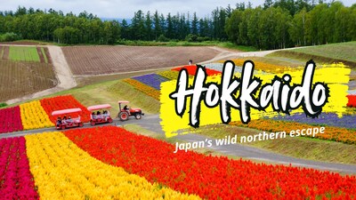 From snow-covered cities to lavender fields and wild coastlines, Hokkaido is Japan at its most beautiful and untamed.