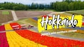 10 best places to explore in Japan's beautiful Hokkaido