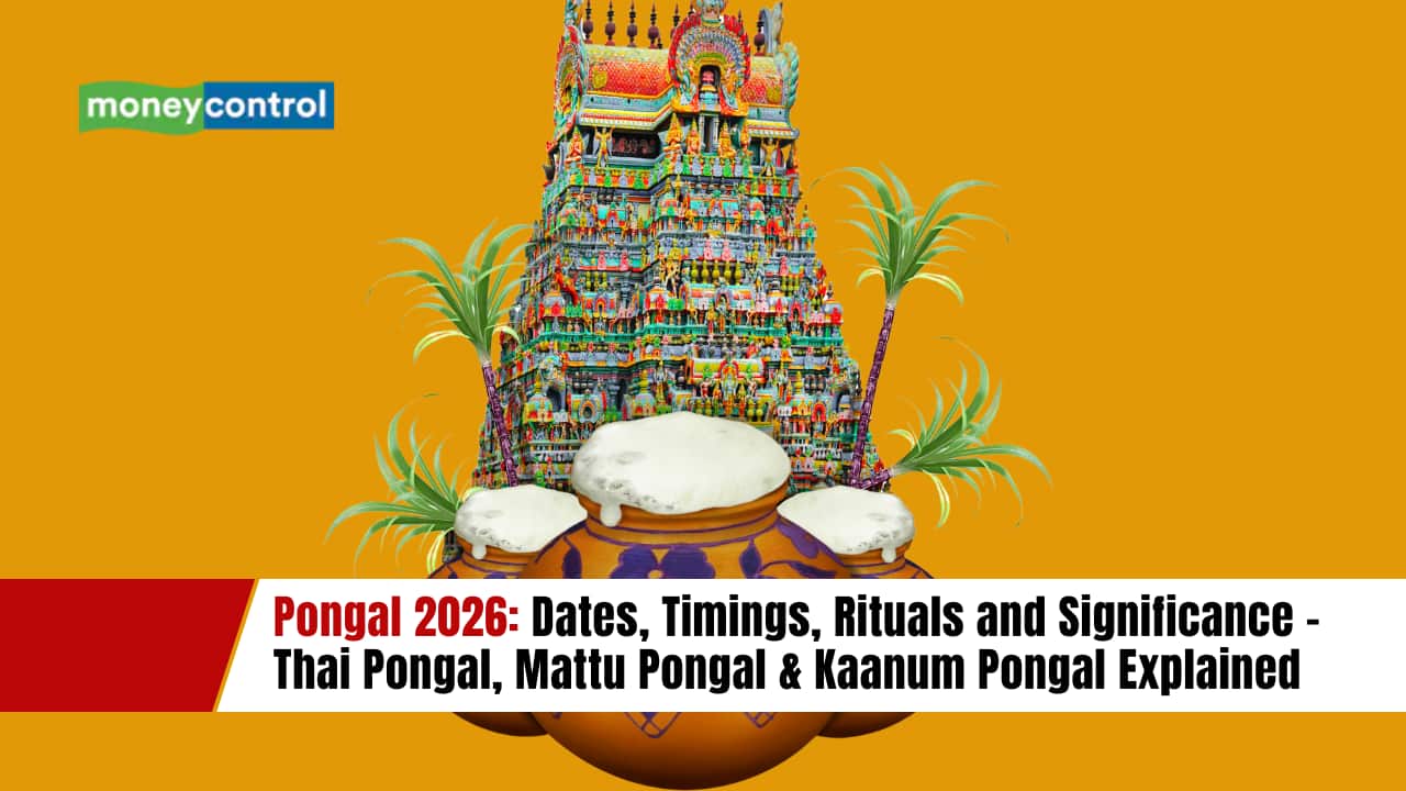 Pongal 2026: Dates, Timings, Rituals and Significance - Thai Pongal, Mattu Pongal & Kaanum Pongal Explained