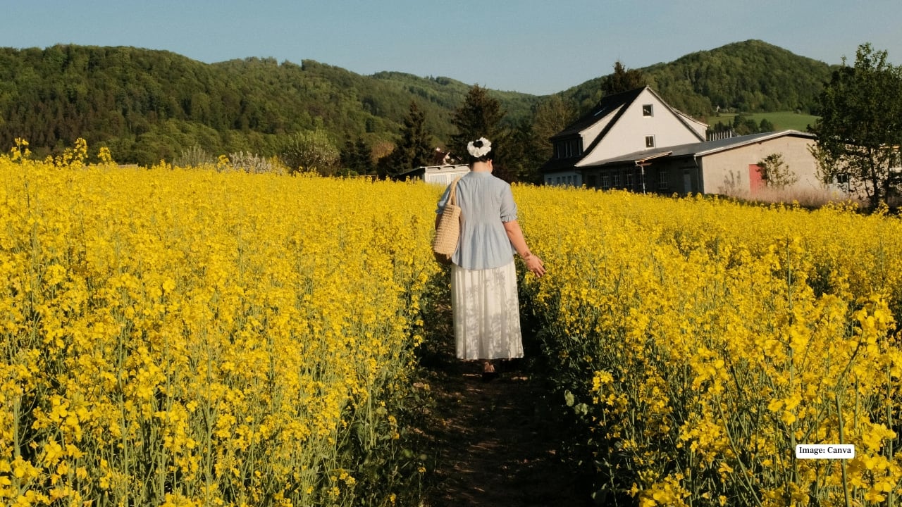 11. Canola Fields, Hokkaido, Japan Golden canola fields blanket Hokkaido in spring, painting a vivid contrast against distant mountains and clear blue skies. Quiet and uncrowded, these fields provide a serene, sunlit escape, perfect for nature lovers, photographers, and travellers seeking a peaceful, colourful retreat in Japan’s northern landscapes. Best time to visit: April to May
