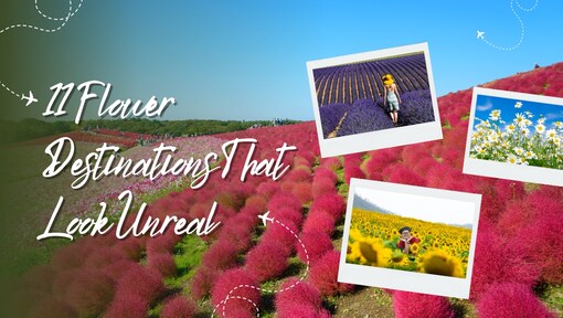These 11 flower-filled places look too beautiful to be real—but they are