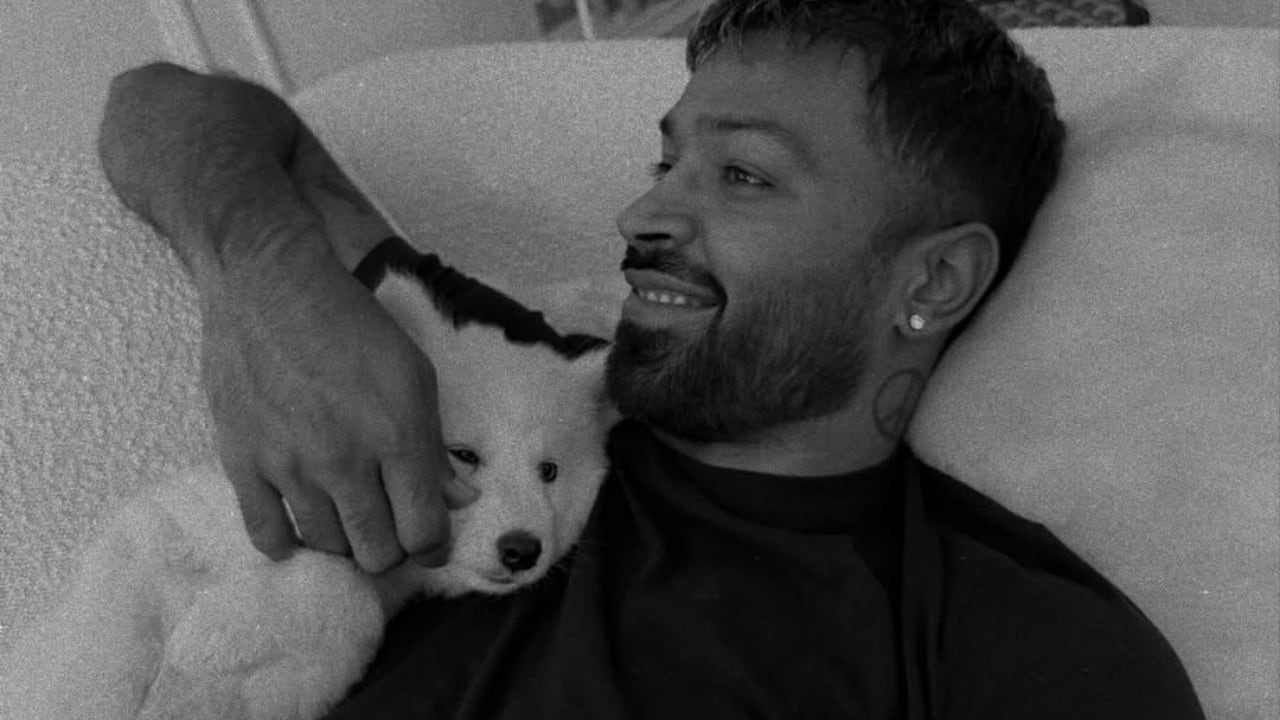 8. Home, laughter, and ease - The final images showed the couple relaxed at home, surrounded by dogs, laughter, and ease. No filters could fake that comfort. It was the kind of scene that quietly tells you everything is okay, right here, right now.