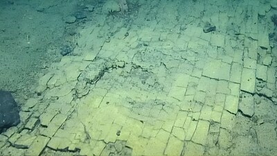 Scientists uncovered a strange “yellow brick road” on the seabed near Hawaii. (Image: The Ocean Exploration Trust/E/V/Nautilus)