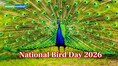 National Bird Day 2026: History, Significance and How to Celebrate