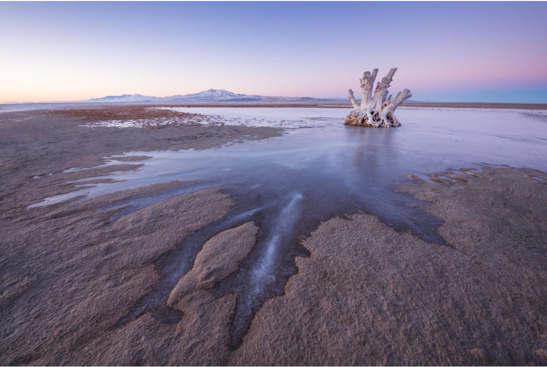 A quiet discovery in the Great Salt Lake that no one saw coming