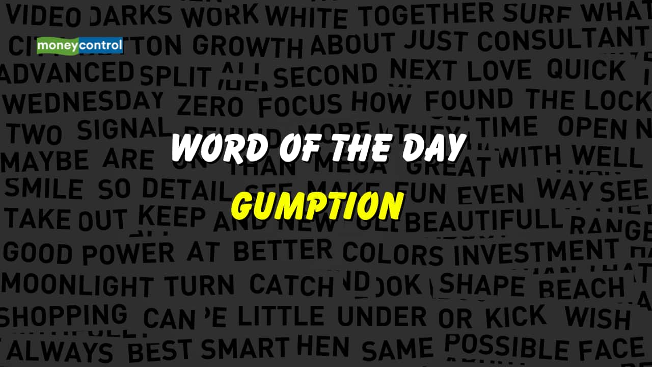 Word of the Day: Gumption