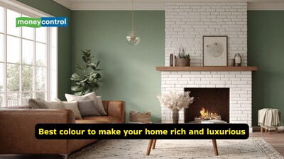 Best colour for rooms: Sage green is a calming hue that lends a vintage Parisian touch to a space. Paint walls or add furniture in this shade for a timeless appeal (Image: Canva)