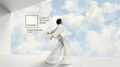 Cloud Dancer walls paired with white-on-white bedding in different weaves with cotton sheets, quilted throws, knitted cushions can turn the room into a quiet retreat (Image: Pantone)