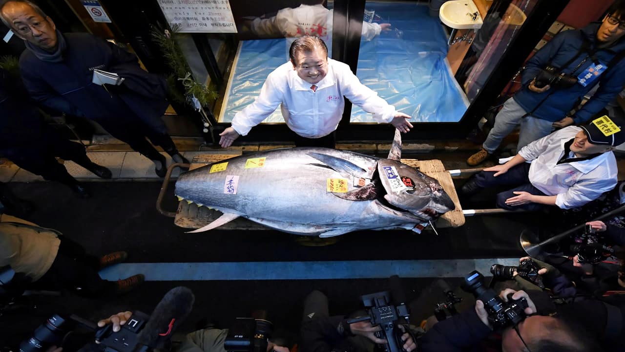 From ocean to outrageous: Sushi chain pays ₹29 crore for a single tuna in Tokyo