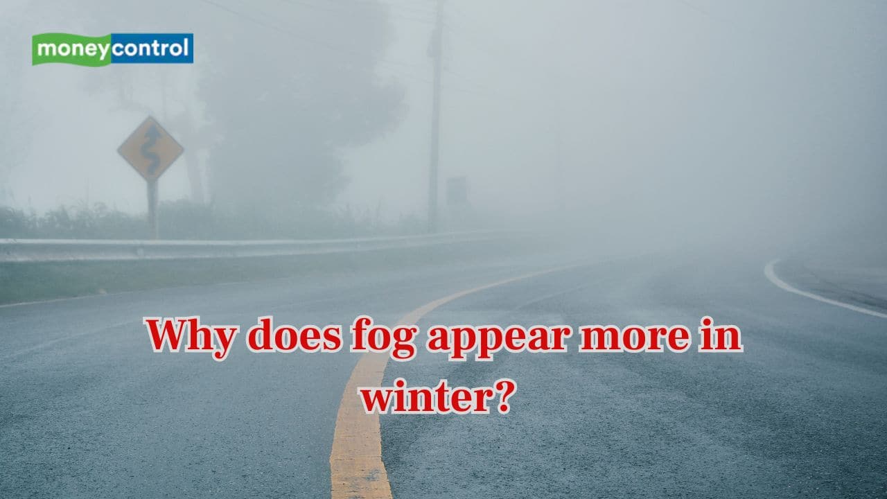 Why does fog appear more in winter? Learn the science behind this