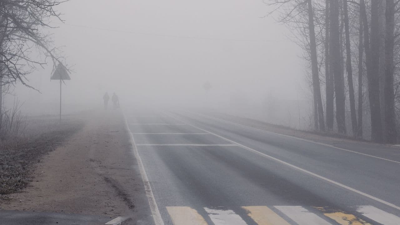 On a a cold, calm morning, fog hangs around like a soft and misty blanket. (Image: Canva)