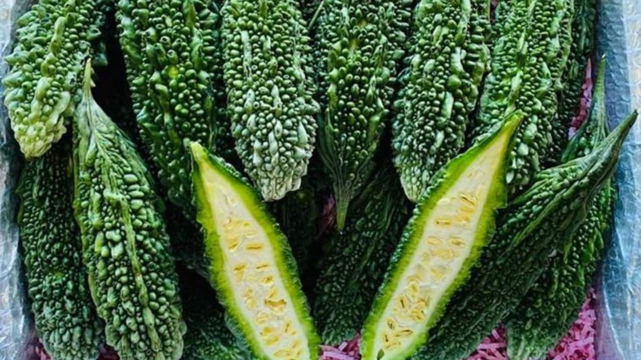 Why nutritionists want you to reconnect with bitter foods as a source of genuine wellbeing