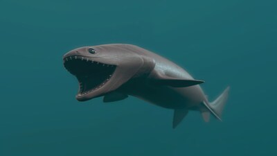Frilled shark (Image: Canva)
