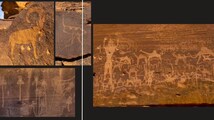 Saudi Arabia was not always a desert, scientists reveal its lush past