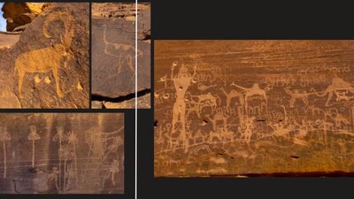 Ancient Saudi petroglyphs reveal palm trees, ibex and arabia’s lush past. (Image: National Geographic)