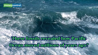 Tiny fossils in Japan reveal how the Pacific Ocean moved millions of years ago