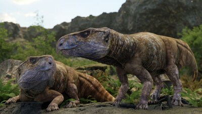A life reconstruction depicting Ajkaceratops kozmai. (Image: Nature (2026). DOI: 10.1038/s41586-025-09897-w)
