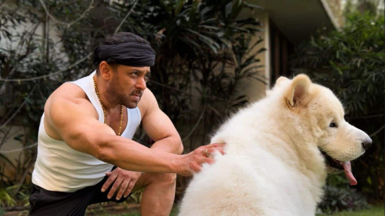 Salman Khan shares sweet Sunday photos with his furry friend, see pic