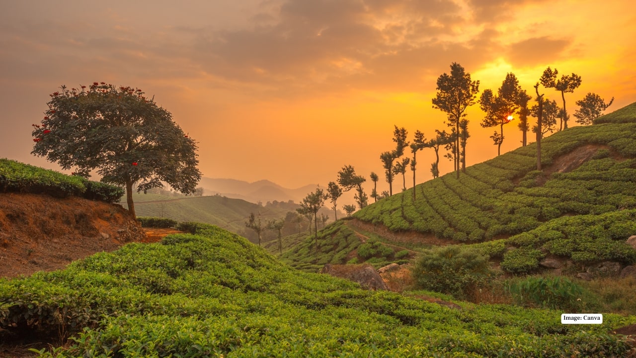 Kerala, India