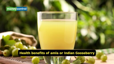 Amla nutrition: Fresh amla juice blended with ginger and a touch of honey makes for a potent immunity booster (Image: Canva)