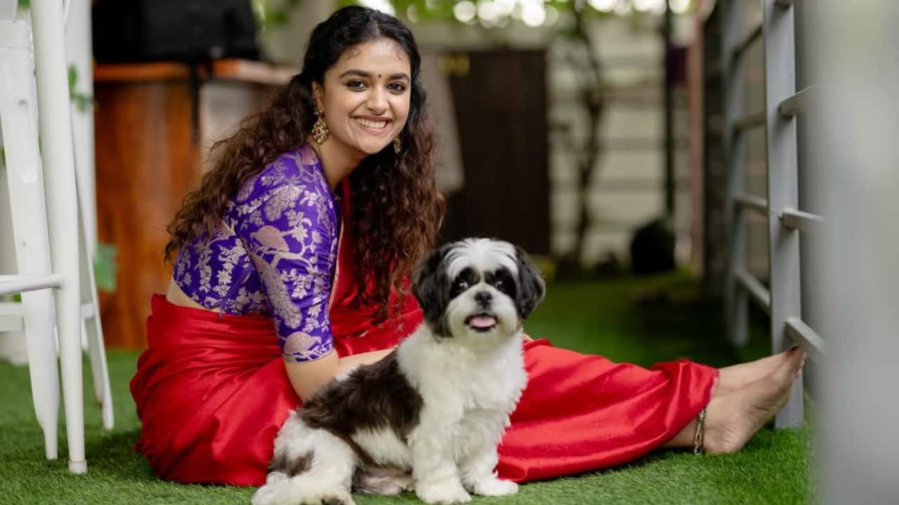 Red Kasavu Grace With its elegant draping for poise, her traditional crimson and gold Kasavu radiates timeless Pongal preparedness. For subtle festive appeal, accessorise with loose waves, a bindi, and basic drop earrings.