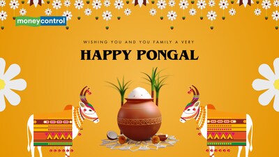 Pongal 2026: 50+ Best Greetings, Images, and Statuses for Loved Ones