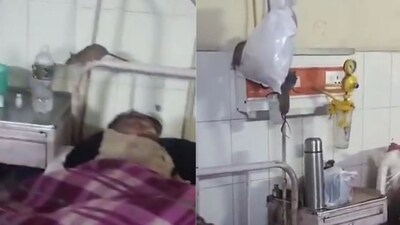 Rats roam freely inside Gonda Medical College’s ortho ward, triggering hygiene concerns. (Image credit: @zoo_bear/X)