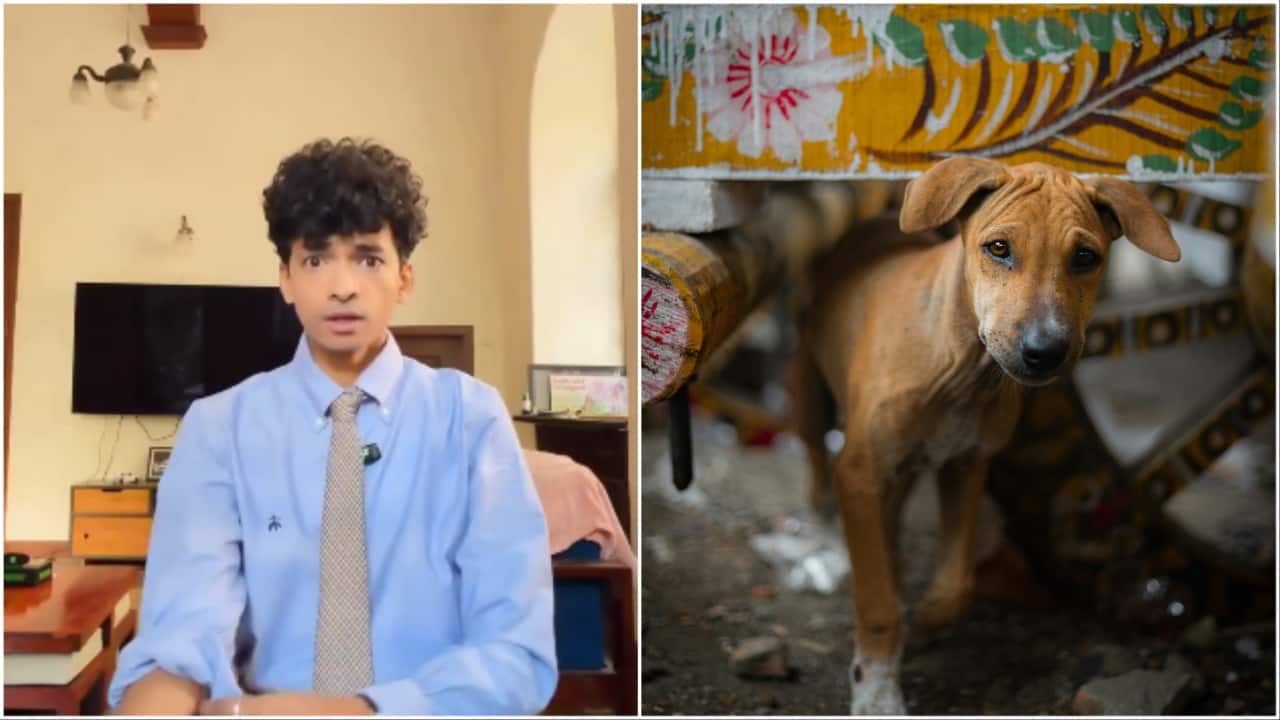 Ratan Tata’s closest aide on SC stray dogs remark: Is compassion to animals a crime in India?