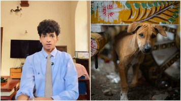 Ratan Tata’s closest aide on SC’s stray dogs remark: Is compassion to animals a crime in India?