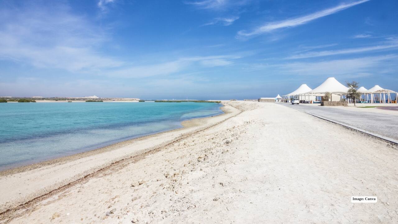Sir Bani Yas Cruise Beach