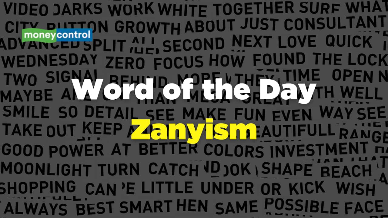 Word Of the Day: Zanyism