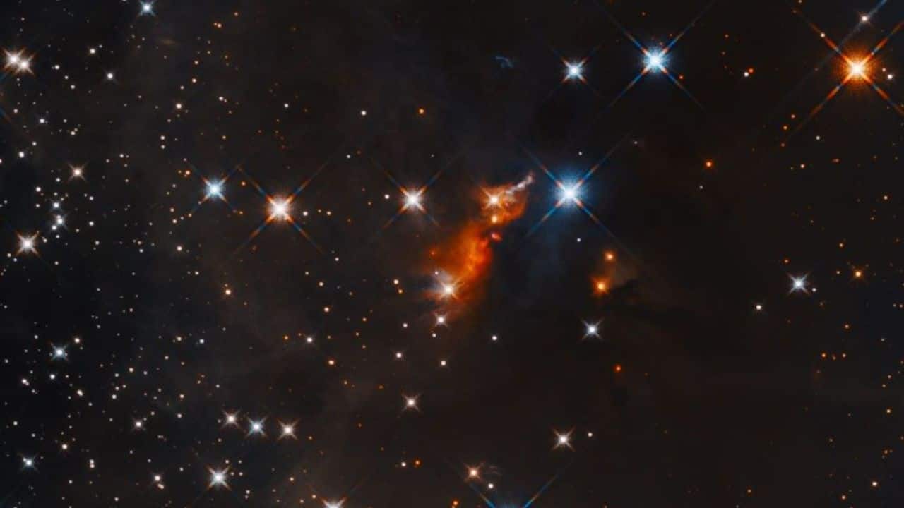 IRAS 20126+4104 (Image: NASA)
