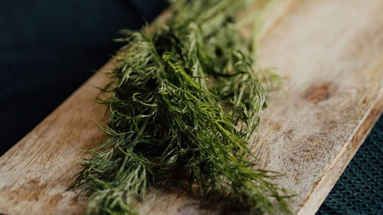 Celebrity nutritionist Rujuta Diwekar says this food can fix hair thinning and greying; jokes it hasn’t been discovered by Instagram reels yet