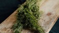 Celebrity nutritionist Rujuta Diwekar says this food can fix hair thinning and greying; jokes it hasn’t been discovered by Instagram reels yet