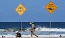 Dozens of Sydney beaches closed after spate of shark attacks
