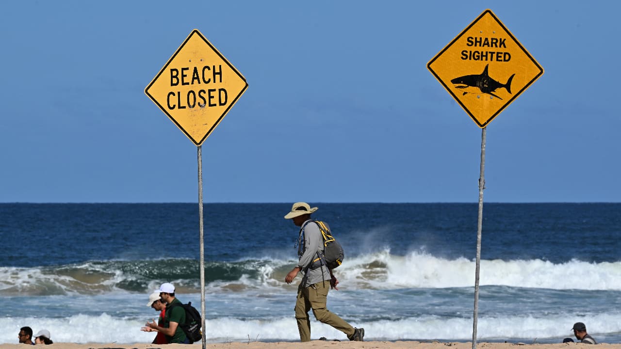 Dozens of Sydney beaches closed after spate of shark attacks