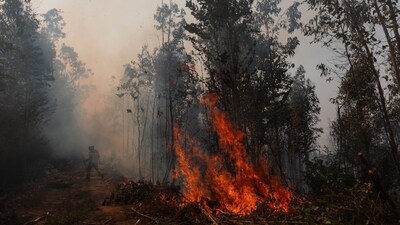 A firefighter walks near to burning vegetation in the town of Penco, following the wildfires that ravaged the area surrounding the city of Concepción, Chile, on January 19, 2026. (AFP photo)