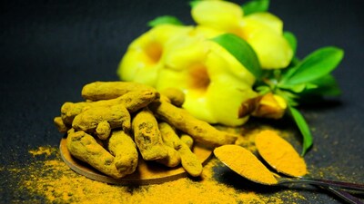 Fitness in 2026 is less about burnout and more about balance. From better recovery to calmer workouts, Ashwagandha is finding its place in modern training routines. (Image: Pexels)