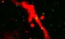 A supermassive black hole reawakens after 100-million-years like a cosmic volcano in distant universe