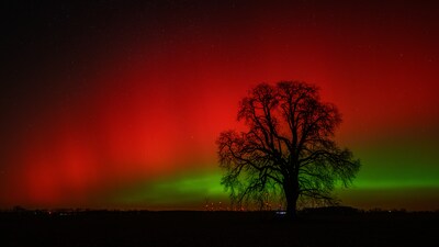 Northern lights shine in the night sky Monday, Jan. 19, 2026, in Brandenburg, Germany.  (Patrick Pleul/dpa via AP)