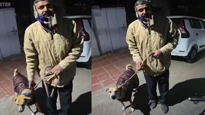 Lucknow Rapido rider takes sick dog to vet. (Image: rohitvlogster/Instagram)