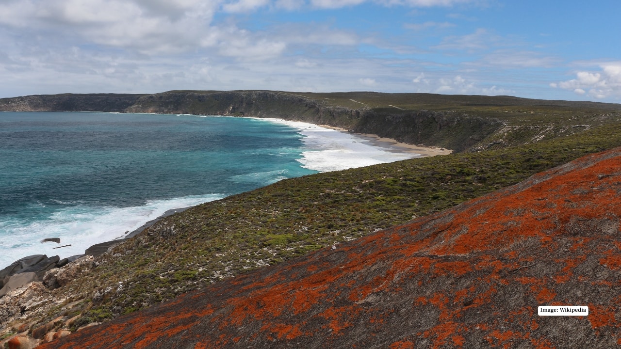 6. Kangaroo Island, Australia Kangaroo Island feels like a deep exhale. With more wildlife than people, dramatic coastlines and wide-open spaces, it invites travellers to reconnect with nature at an unhurried pace. Days are spent walking coastal trails, spotting sea lions or simply sitting still — something the island quietly encourages. 6. Kangaroo Island, Australia Kangaroo Island feels like a deep exhale. With more wildlife than people, dramatic coastlines and wide-open spaces, it invites travellers to reconnect with nature at an unhurried pace. Days are spent walking coastal trails, spotting sea lions or simply sitting still — something the island quietly encourages.
