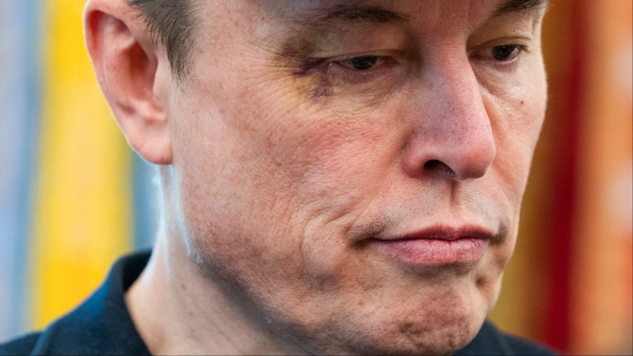 Elon Musk supports Irish teacher arrested for not addressing transgender student as ‘they’